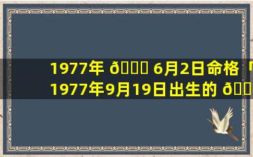1977年 🐝 6月2日命格「1977年9月19日出生的 🐦 人命运」